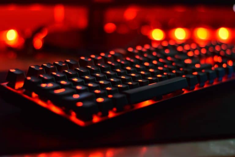 Les différents points à considérer lors de l’achat d’un clavier de jeu